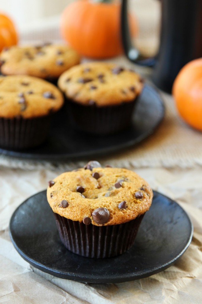 This Autumn Bake Pumpkin Chocolate Chip Muffins